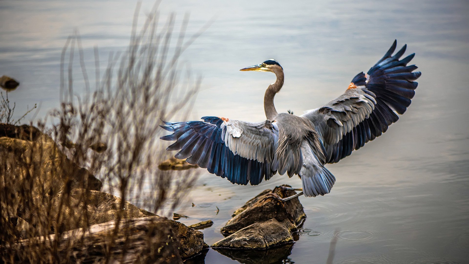 【新手指南】球桌选择与基础技巧入门推荐,球桌是什么意思