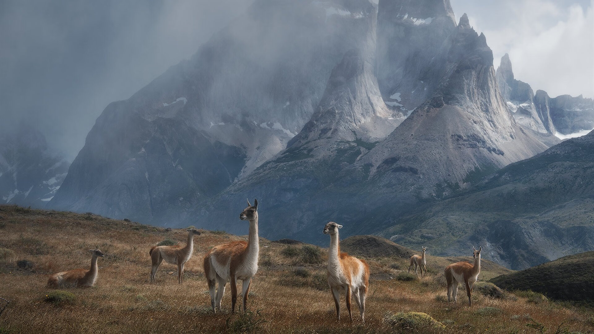 非洲球队在最新比赛中表现出色,取得胜利,非洲联赛